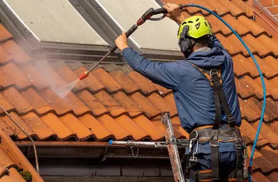 Démoussage et hydrofuge de toiture à Réparsac